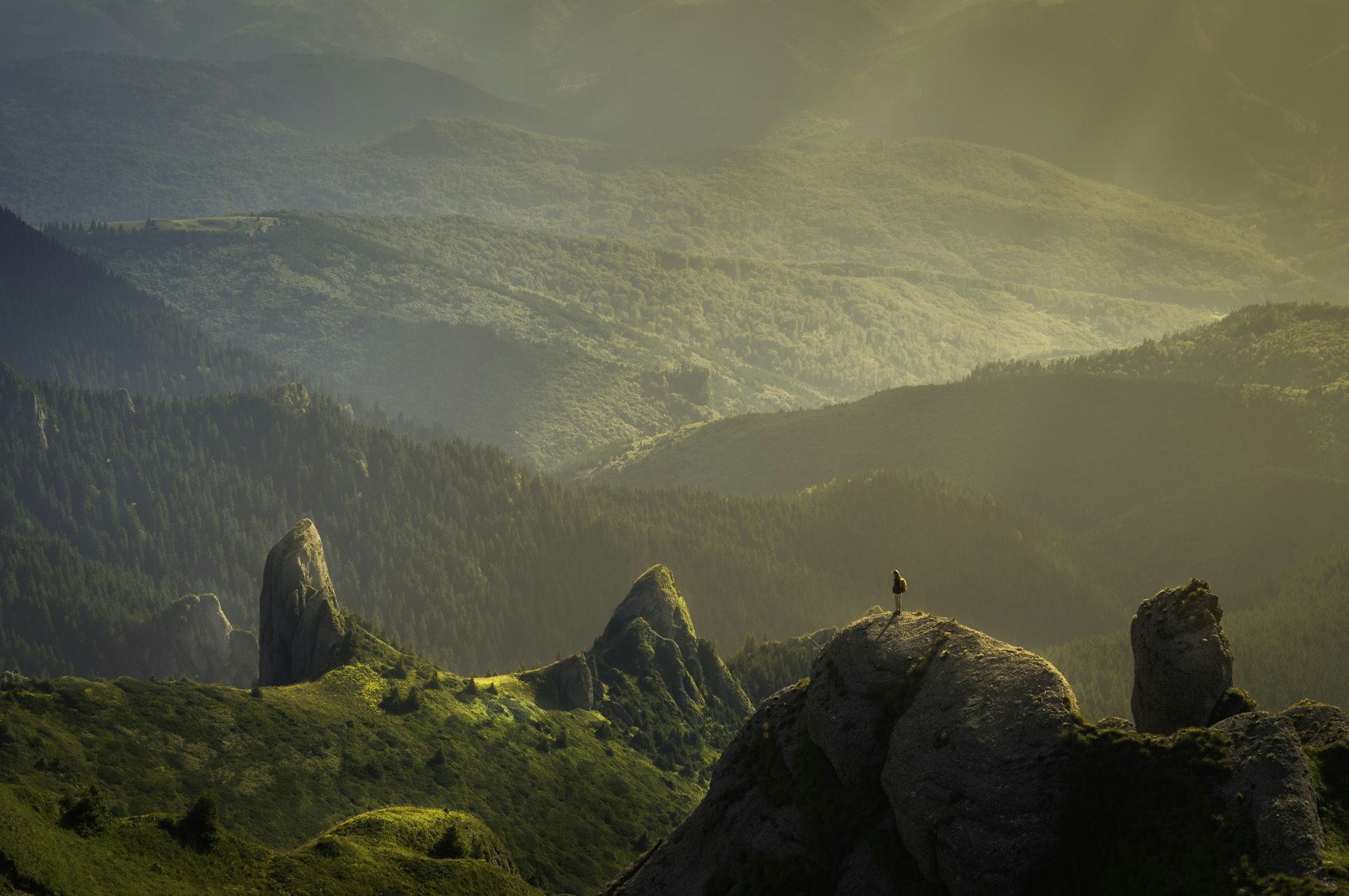 Sun rays breaking over a misty green forest valley